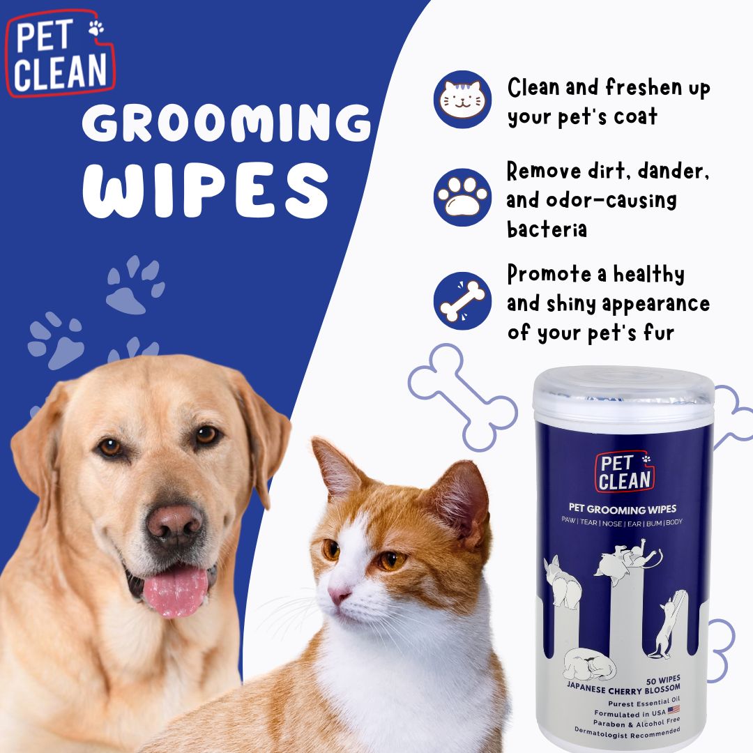 Pet Clean yleispuhdistuspyyhe lemmikille 50 kpl
