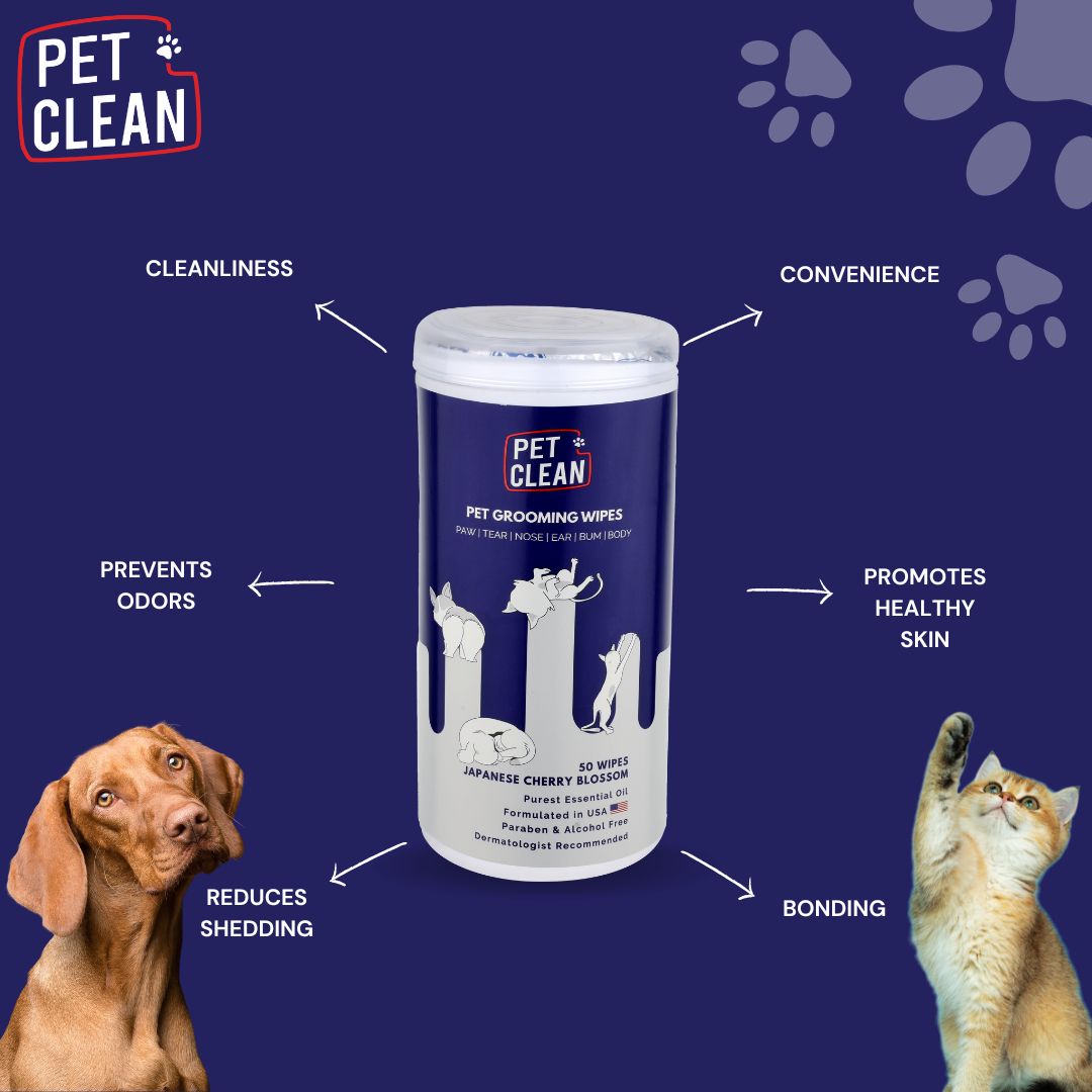 Pet Clean yleispuhdistuspyyhe lemmikille 50 kpl