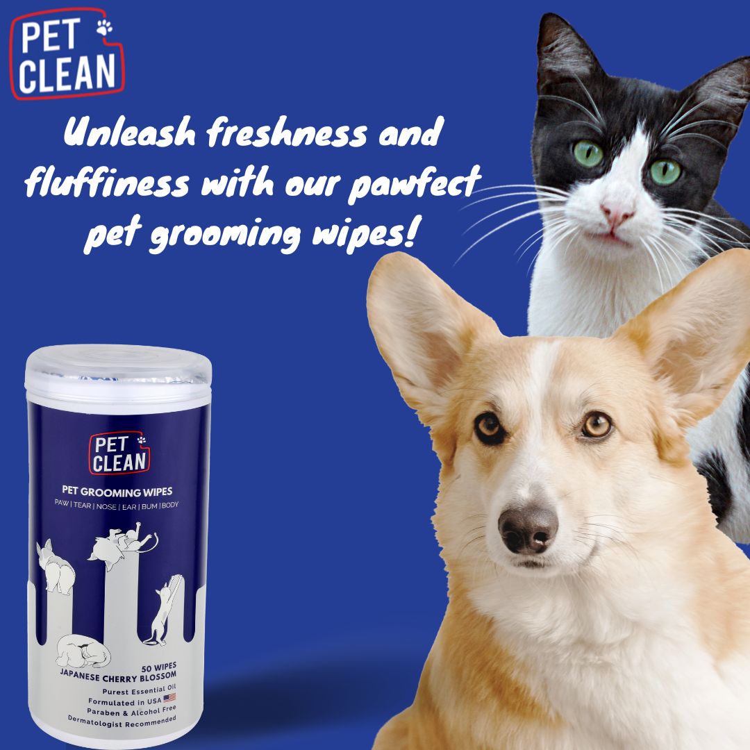 Pet Clean yleispuhdistuspyyhe lemmikille 50 kpl