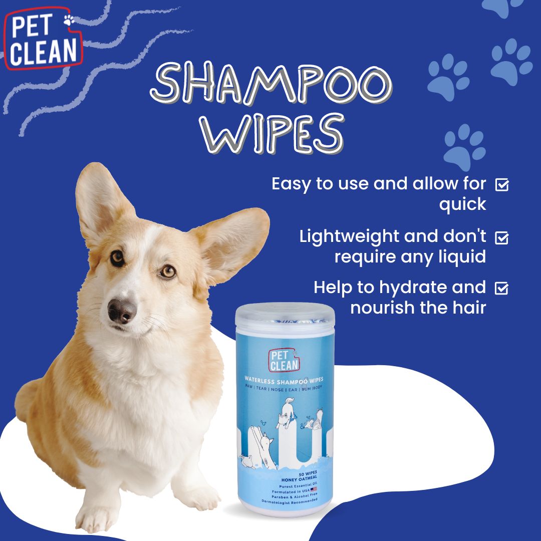 Pet Clean kuivashampoopyyhe lemmikille 50kpl