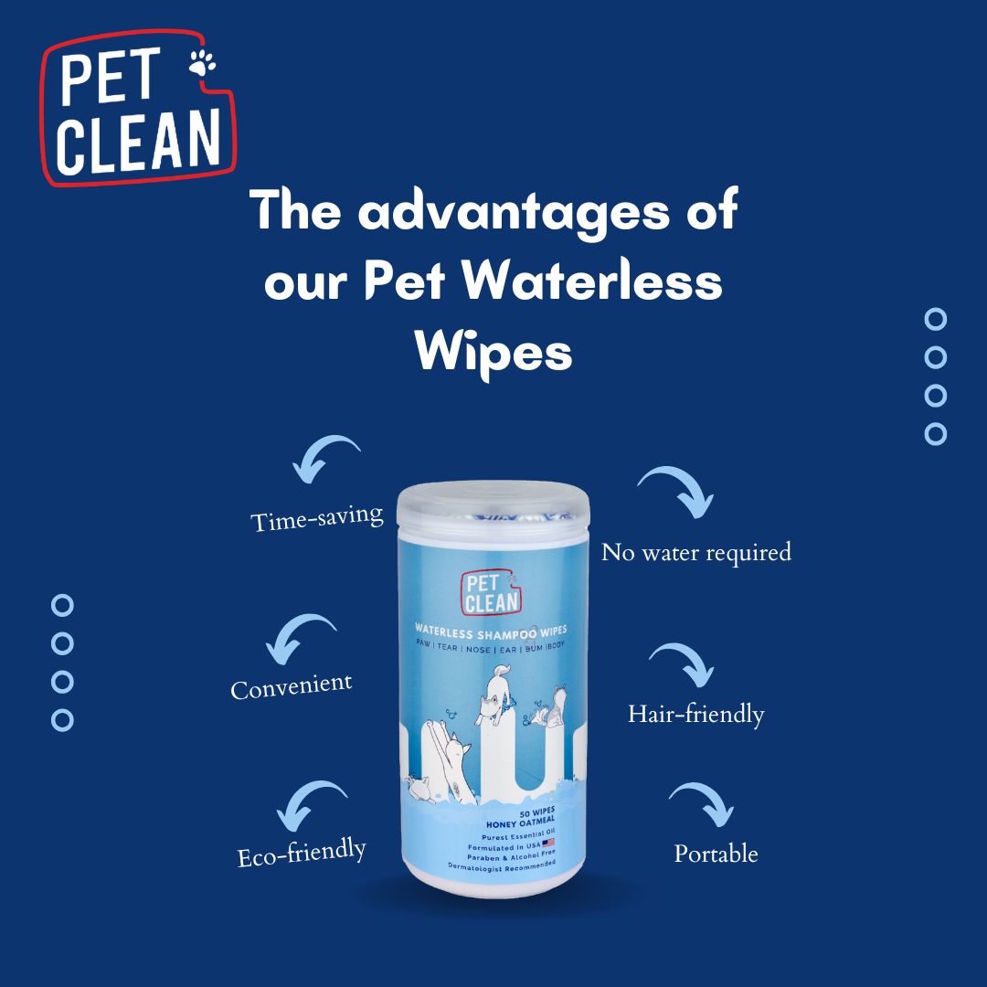 Pet Clean kuivashampoopyyhe lemmikille 50kpl