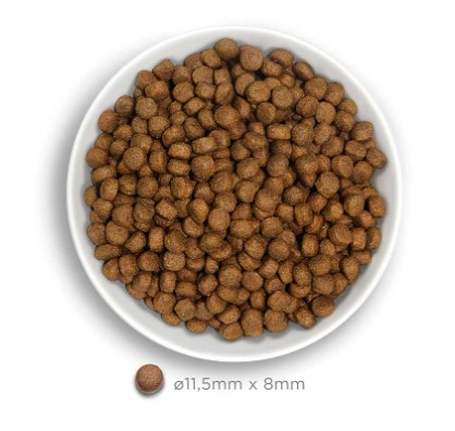 Amanova dog puppy large Exquisite kana & kvinoa 12 kg
