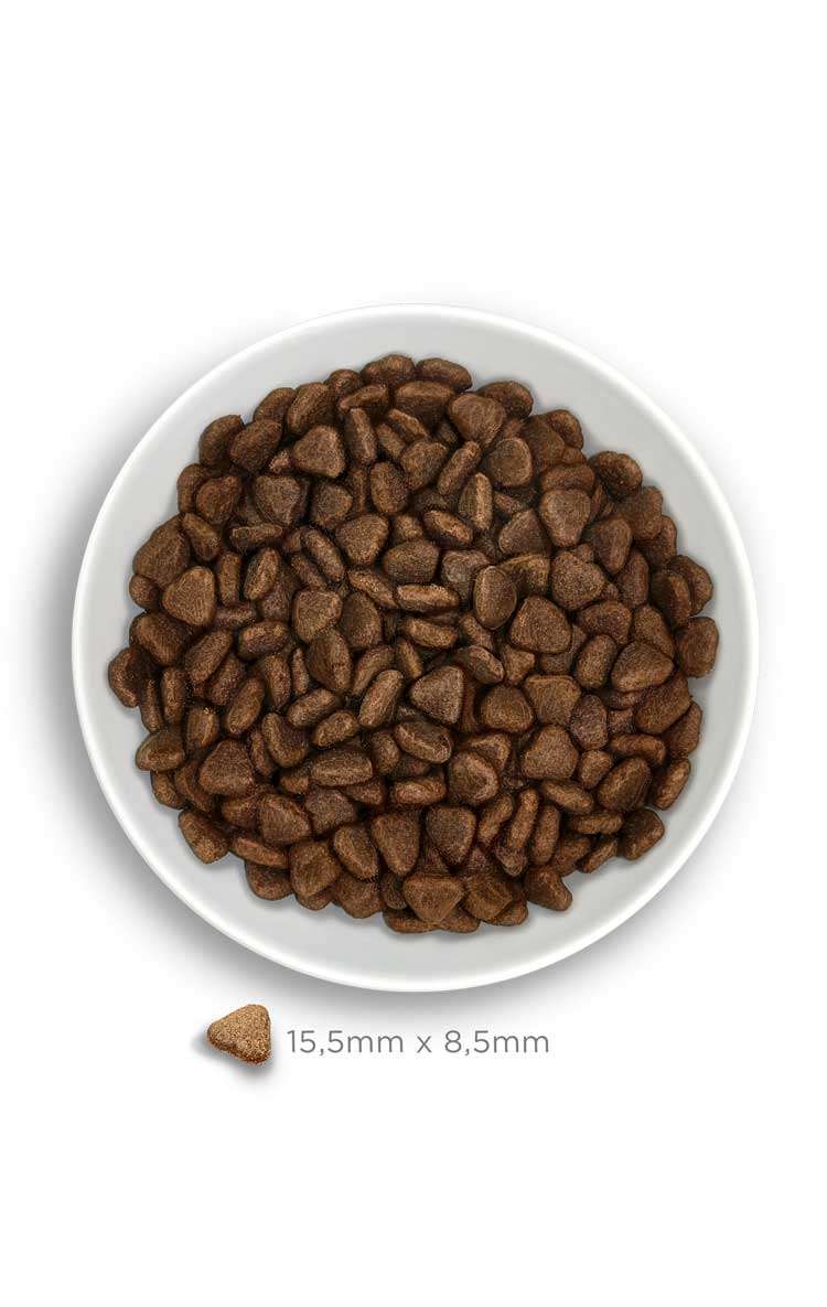 Amanova dog adult Digestive kani & kurpitsa 2 kg