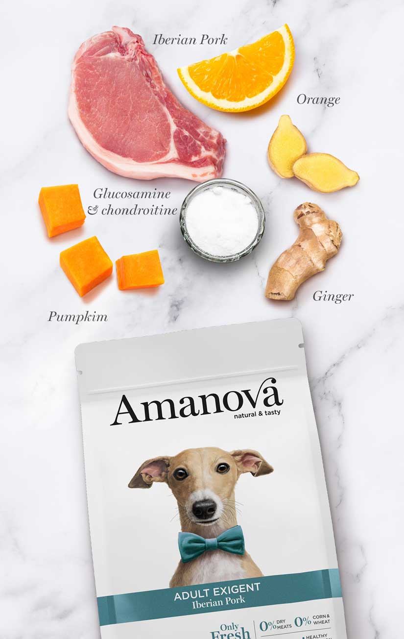 Amanova dog adult Exigent Iberian possu & kurpitsa 2 kg