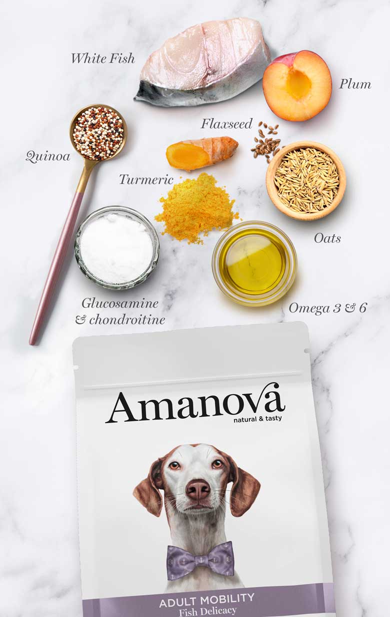 Amanova dog adult Mobility kala & kvinoa 2 kg