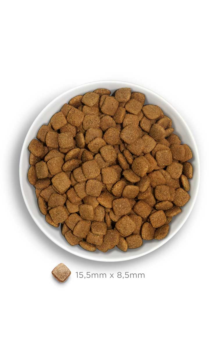 Amanova dog adult Obesity kalkkuna & kvinoa 2 kg