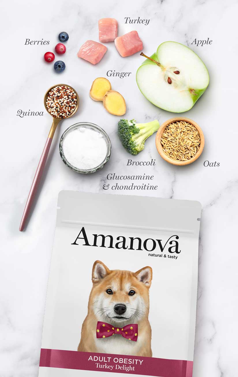 Amanova dog adult Obesity kalkkuna & kvinoa 2 kg