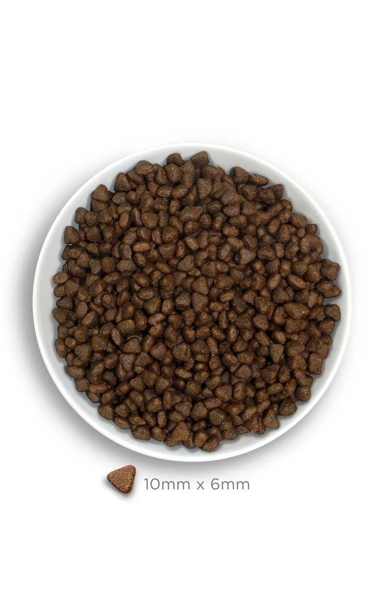 Amanova dog puppy Digestive kani & kurpitsa 2 kg