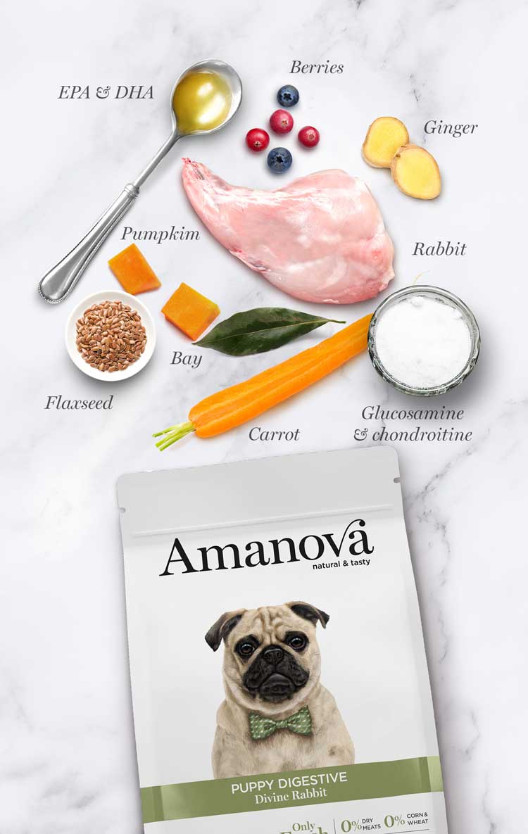 Amanova dog puppy Digestive kani & kurpitsa 7kg