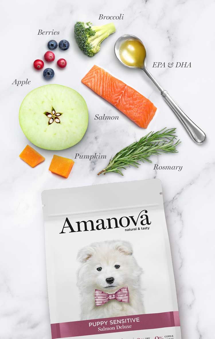Amanova dog puppy Sensitive lohi & kurpitsa 7 kg