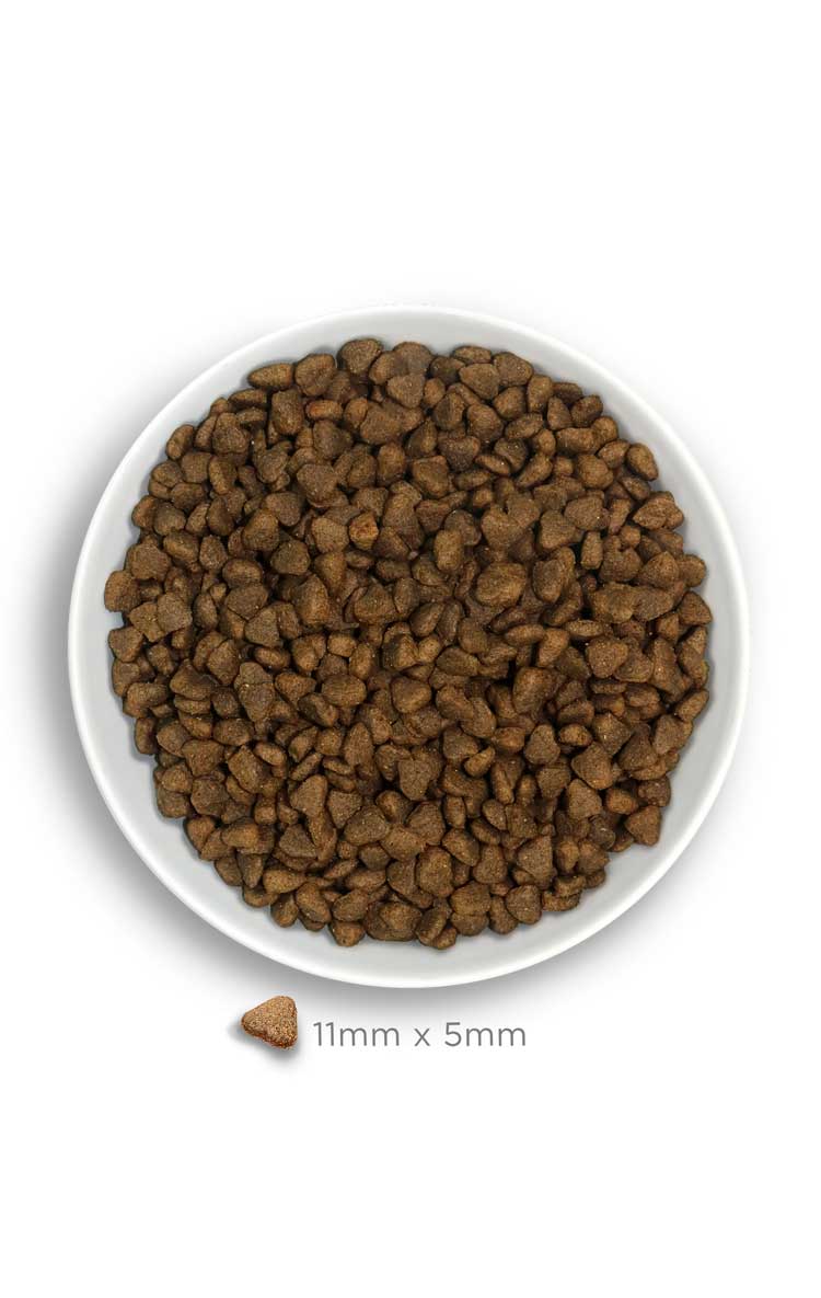 Amanova dog adult mini Sensitive lammas & kurpitsa 2 kg