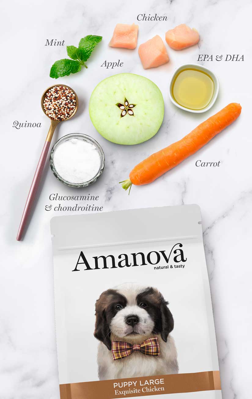 Amanova dog puppy large Exquisite kana & kvinoa 12 kg