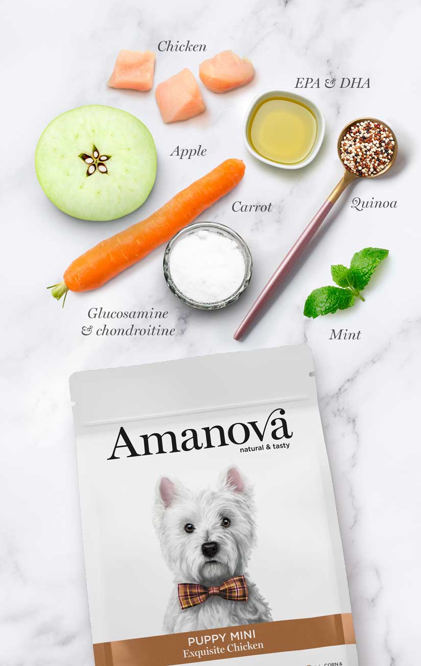 Amanova dog puppy mini Exquisite kana & kvinoa 2 kg
