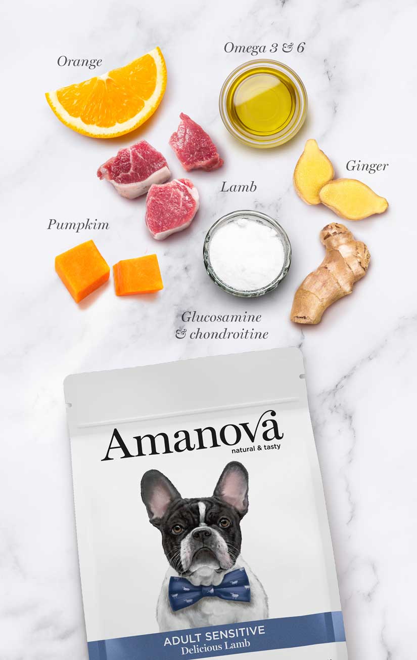 Amanova dog adult Sensitive lammas & kurpitsa 10 kg