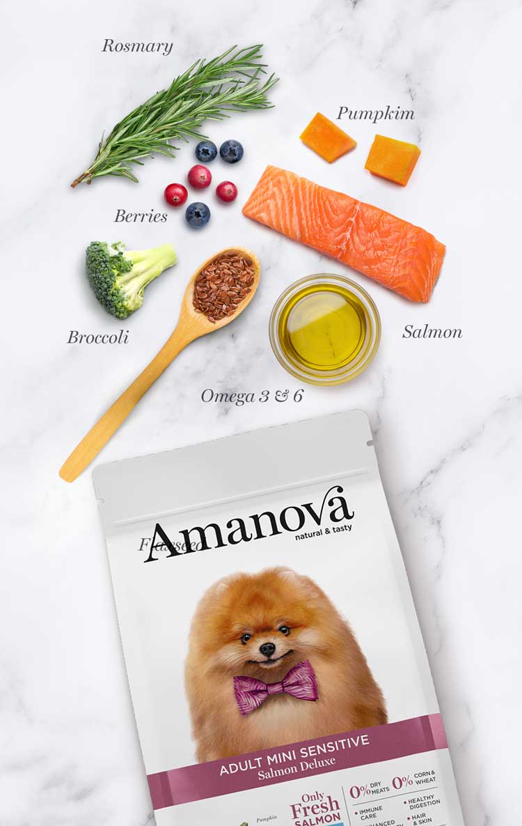 Amanova dog adult mini Sensitive lohi & kurpitsa 2 kg
