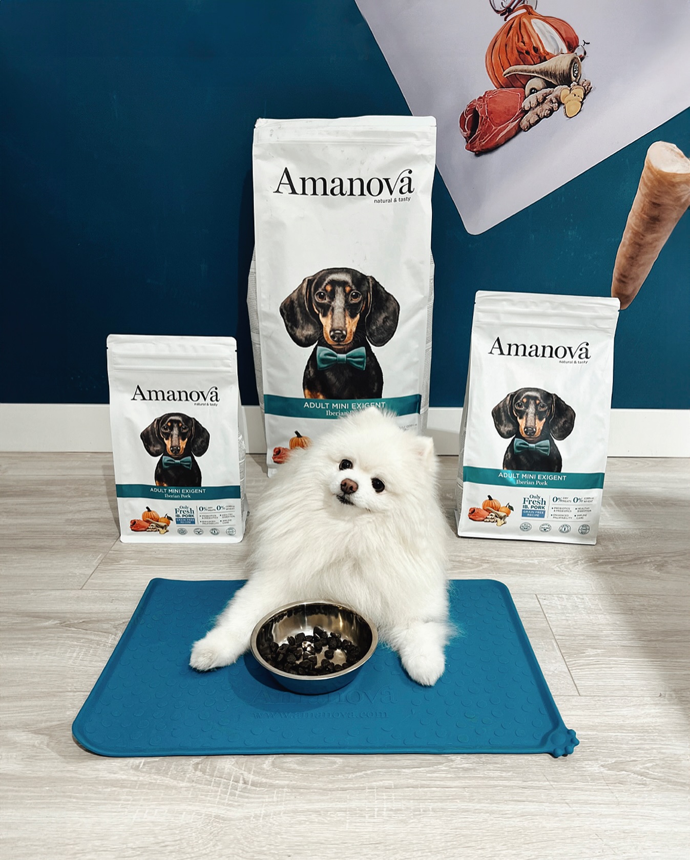 Amanova dog adult mini Exigent Iberian possu & kurpitsa 2 kg