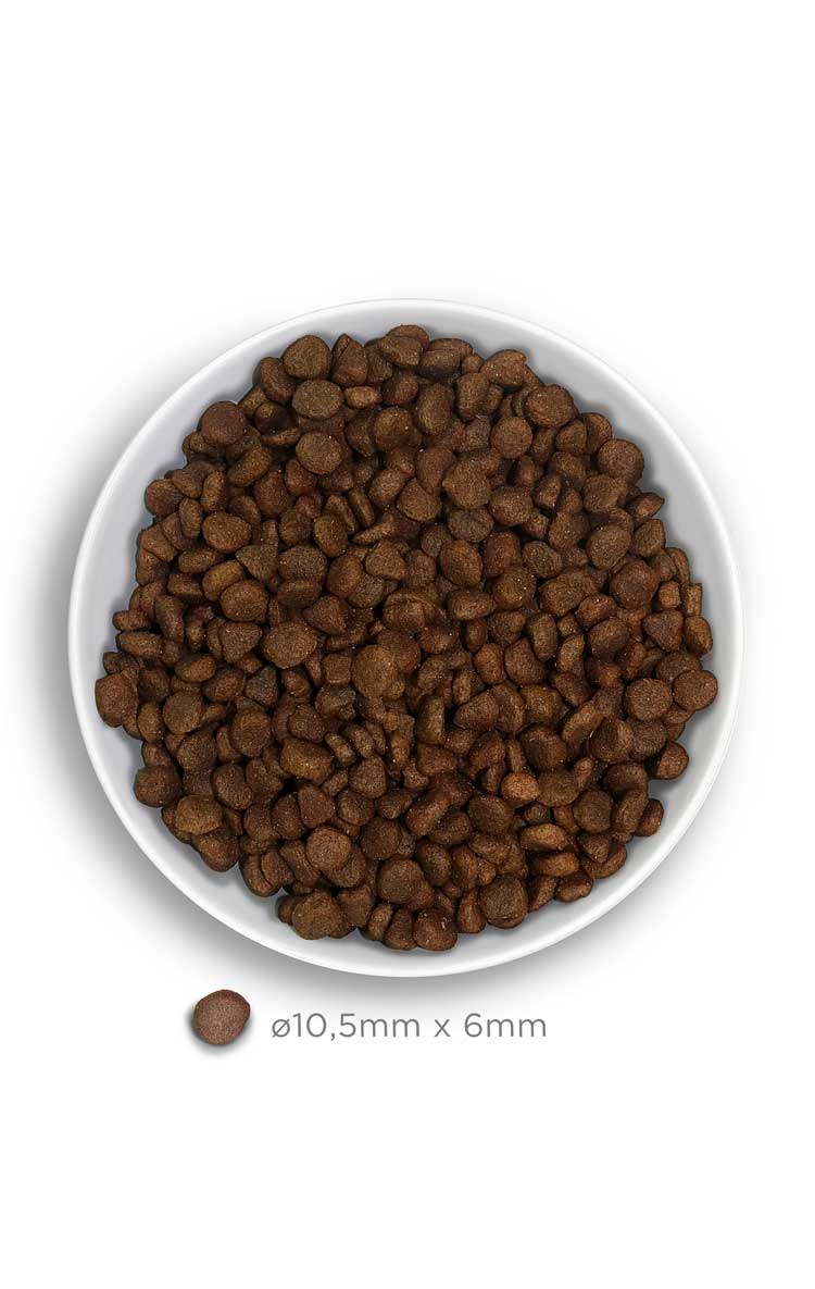 Amanova cat adult Kalkkuna & kurpitsa viljaton 1,5 kg