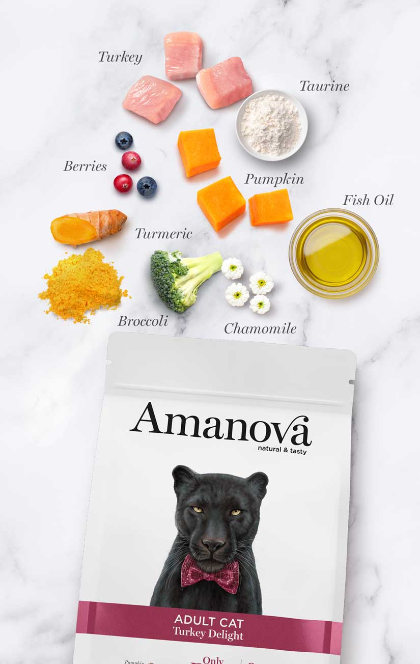 Amanova cat adult Kalkkuna & kurpitsa viljaton 1,5 kg