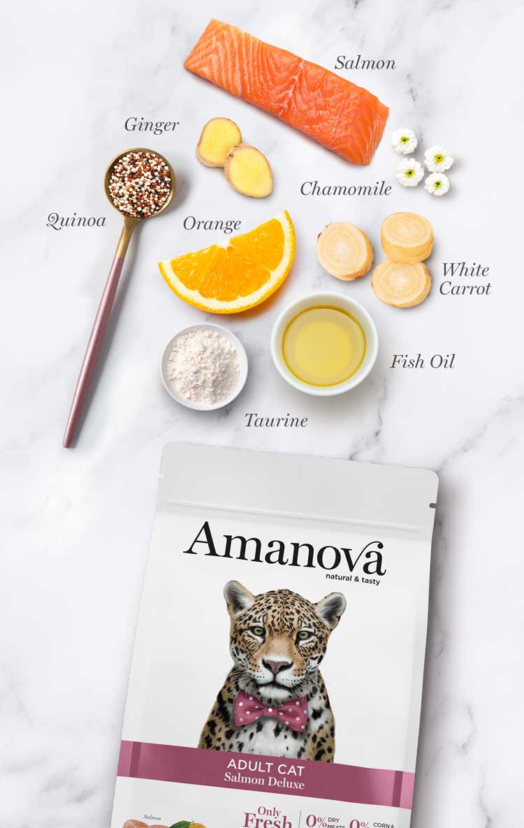 Amanova cat adult lohi & kvinoa low grain 6 kg