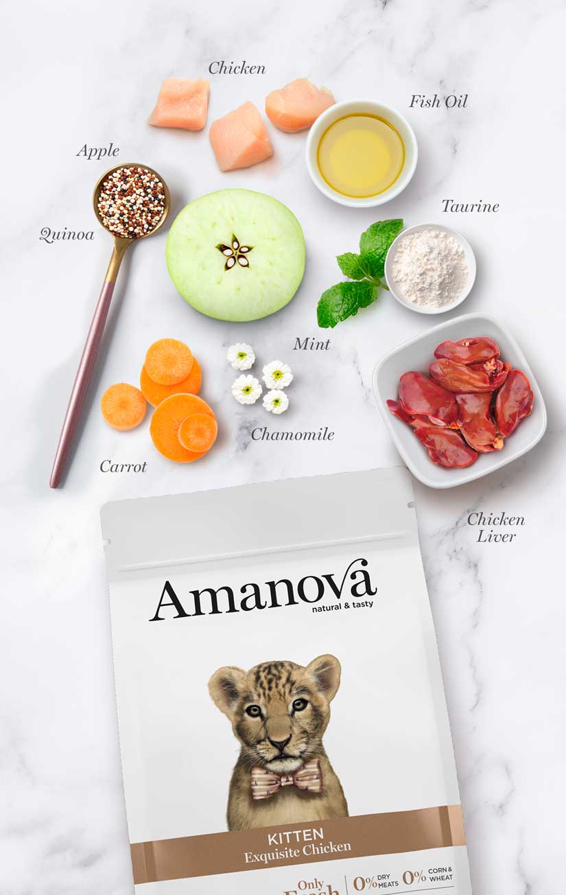 Amanova cat kitten kana & kvinoa low grain 1,5 kg
