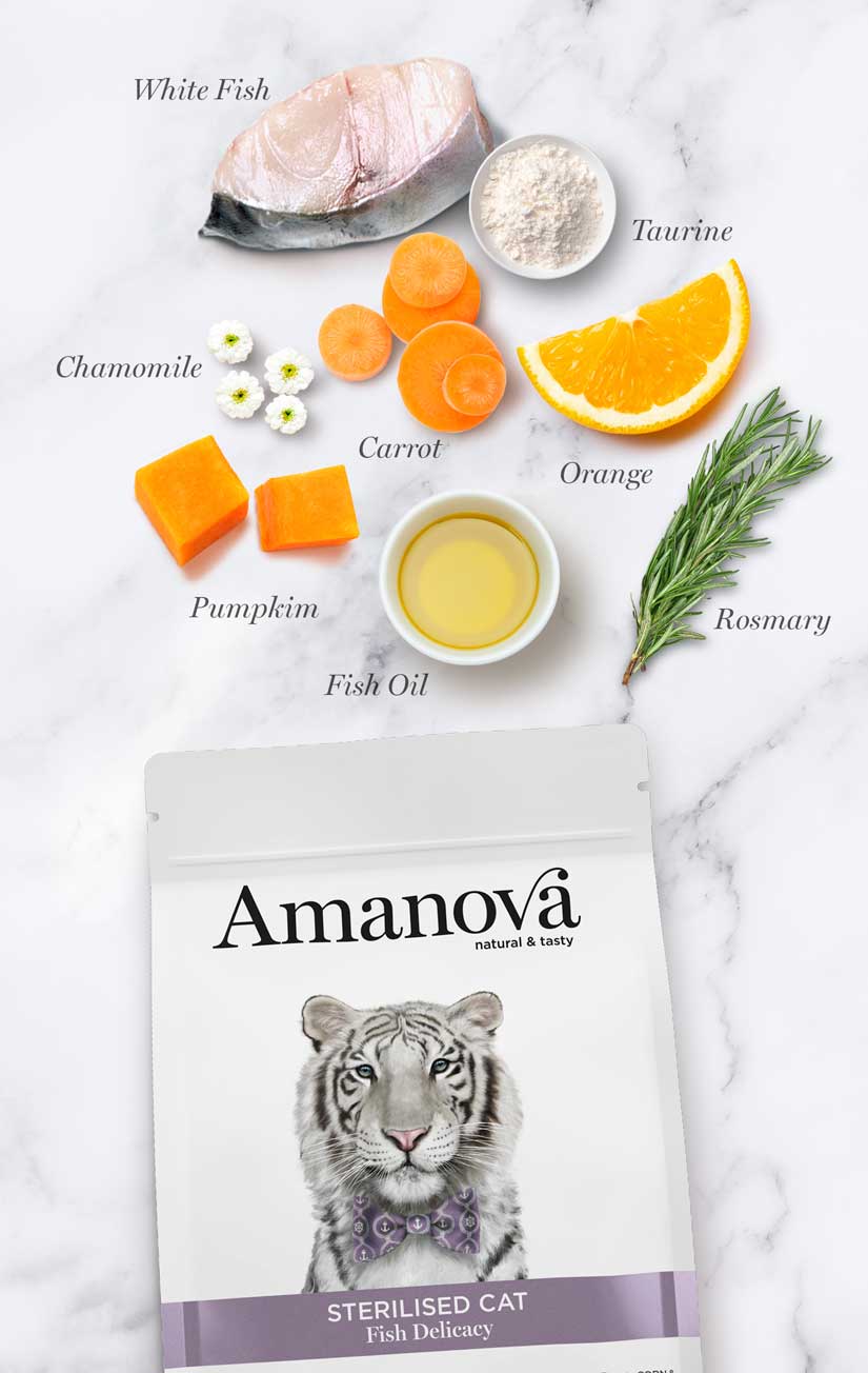 Amanova cat adult Sterilised valkoinen kala & kurpitsa viljaton 1,5 kg