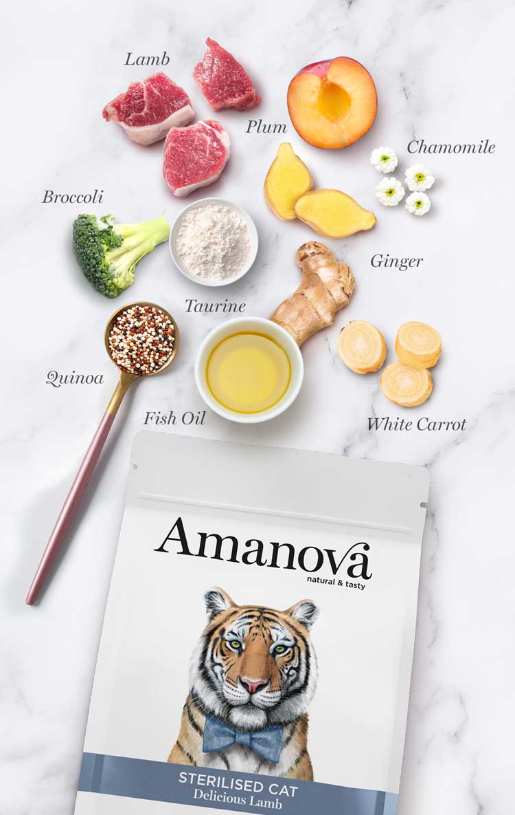 Amanova cat adult Sterilised lammas & kvinoa low grain 300 g