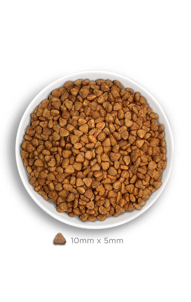 Amanova cat adult Sterilised lohi & kvinoa low grain 1,5 kg