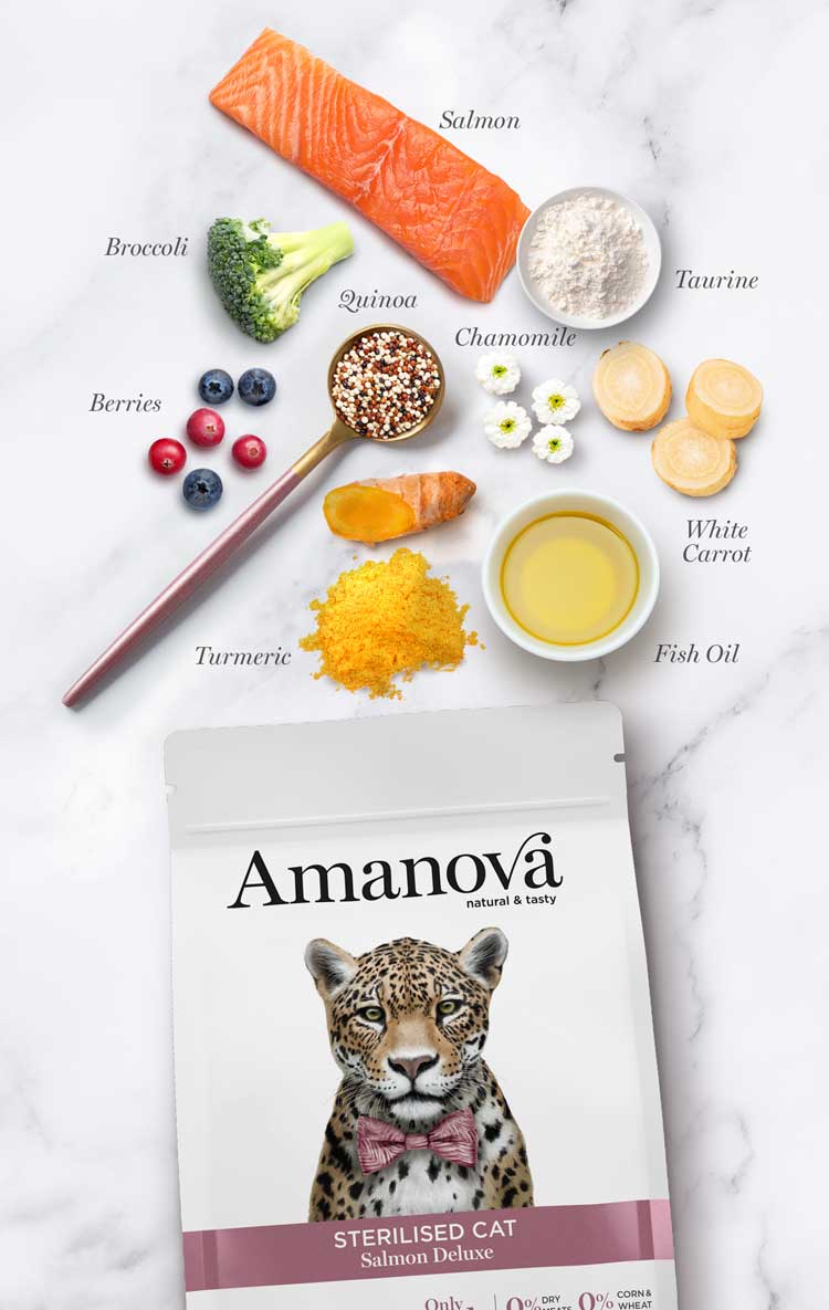 Amanova cat adult Sterilised lohi & kvinoa low grain 6 kg