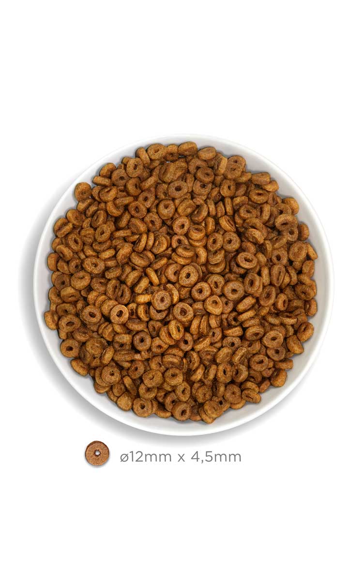 Amanova cat adult valkoinen kala & kvinoa low grain 1,5 kg