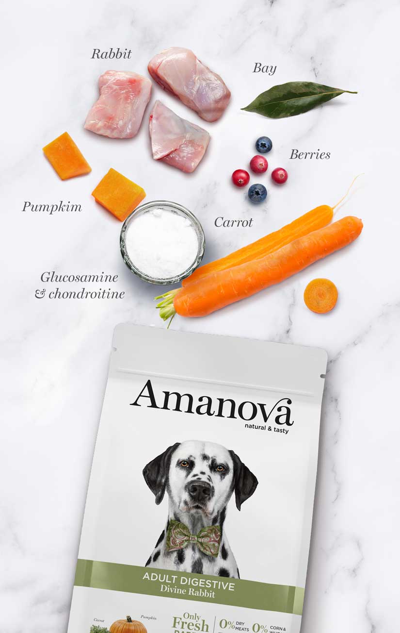 Amanova dog adult Digestive kani & kurpitsa 10 kg