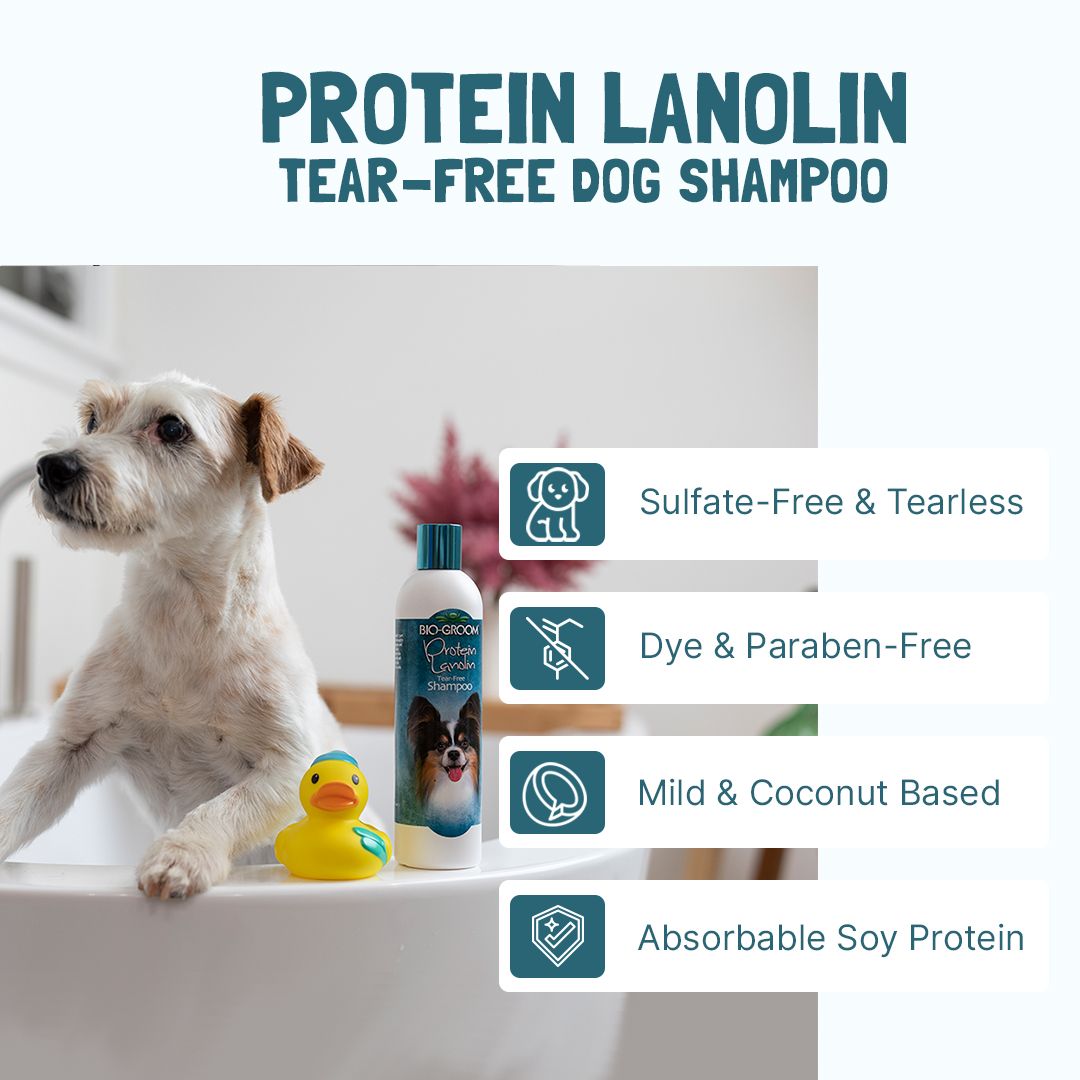 Bio-Groom Protein Lanolin shampoo 12oz/355ml