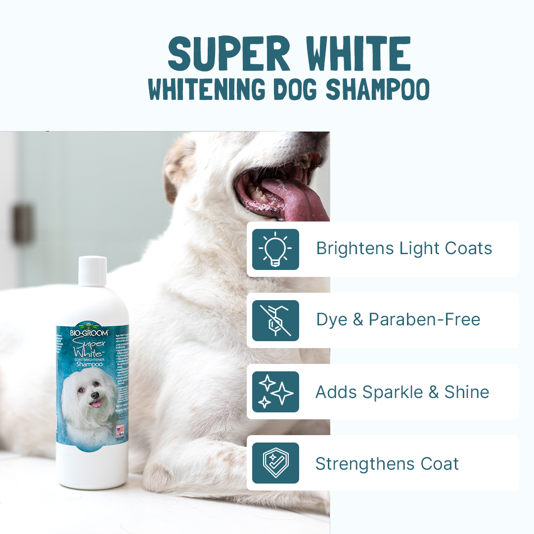 Bio-Groom Super White™ shampoo gallona (3,8l)