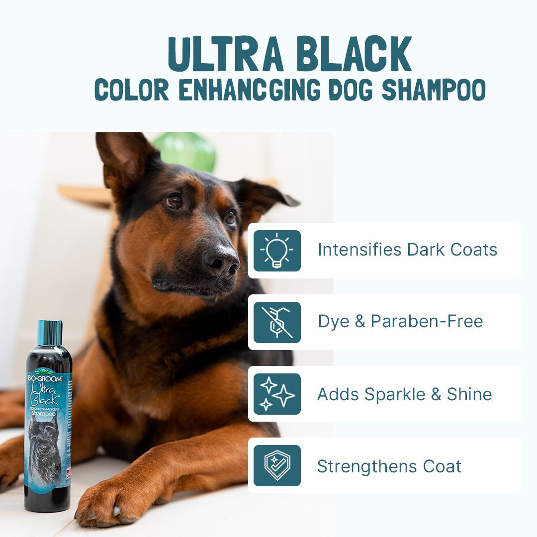Bio-Groom Ultra Black™ shampoo gallona (3,8 l)