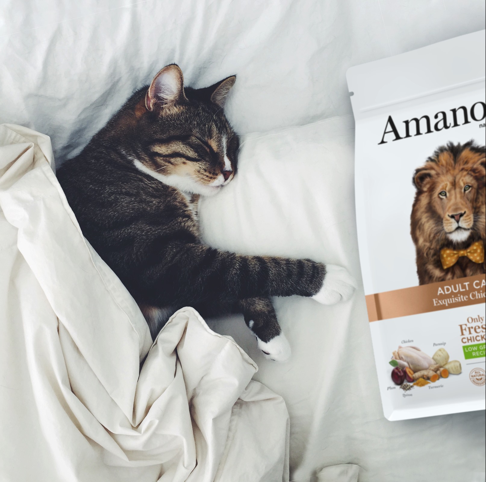 Amanova cat adult Kana & kvinoa low grain 1,5 kg