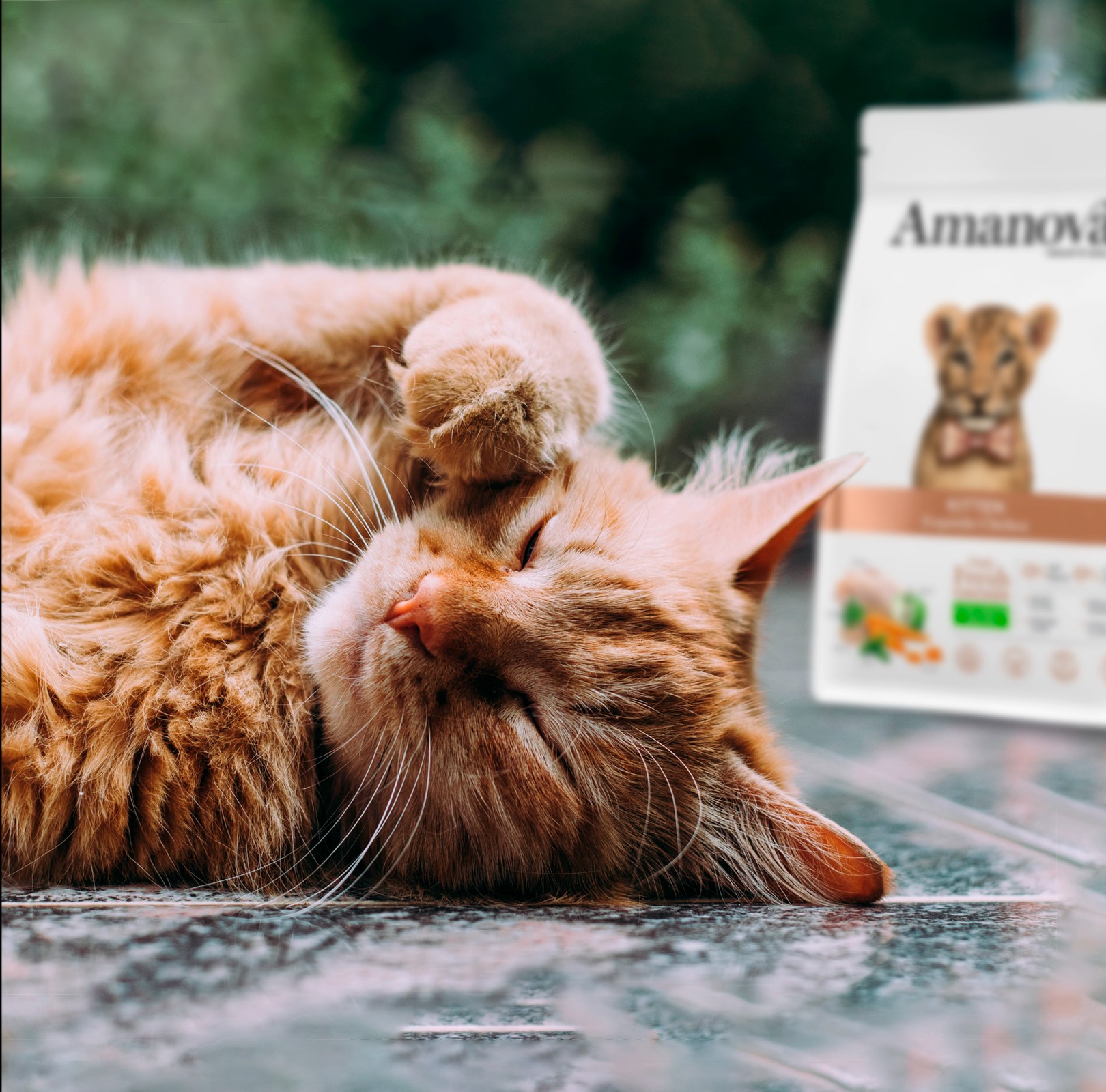 Amanova cat kitten kana & kvinoa low grain 4 kg