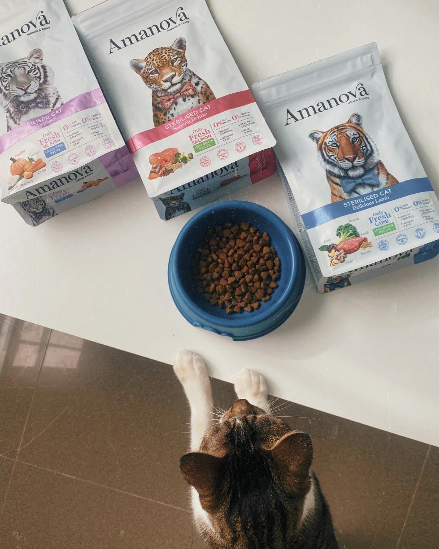 Amanova cat adult Sterilised lohi & kvinoa low grain 1,5 kg