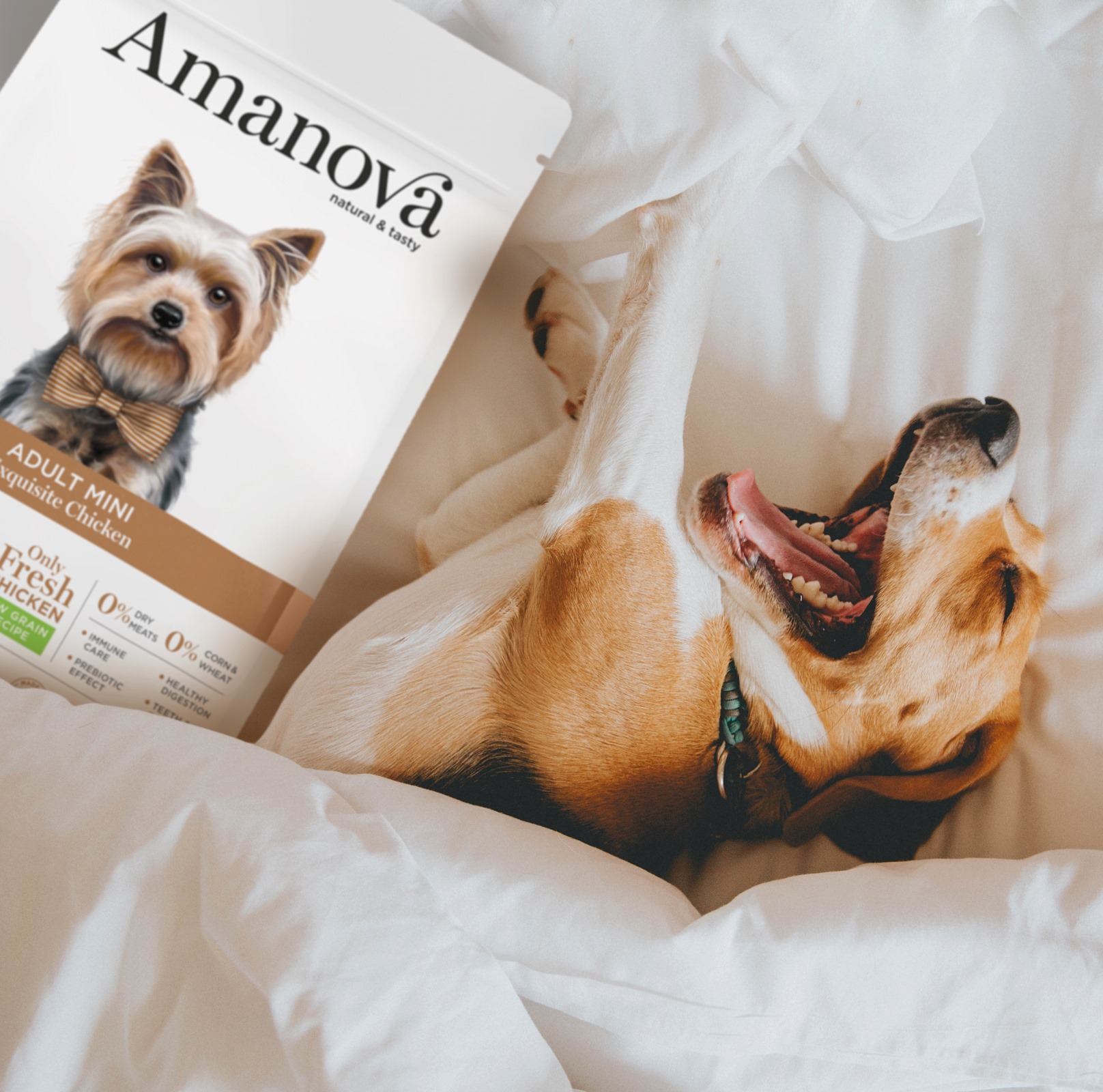 Amanova dog adult mini Exquisite kana & kvinoa 2kg