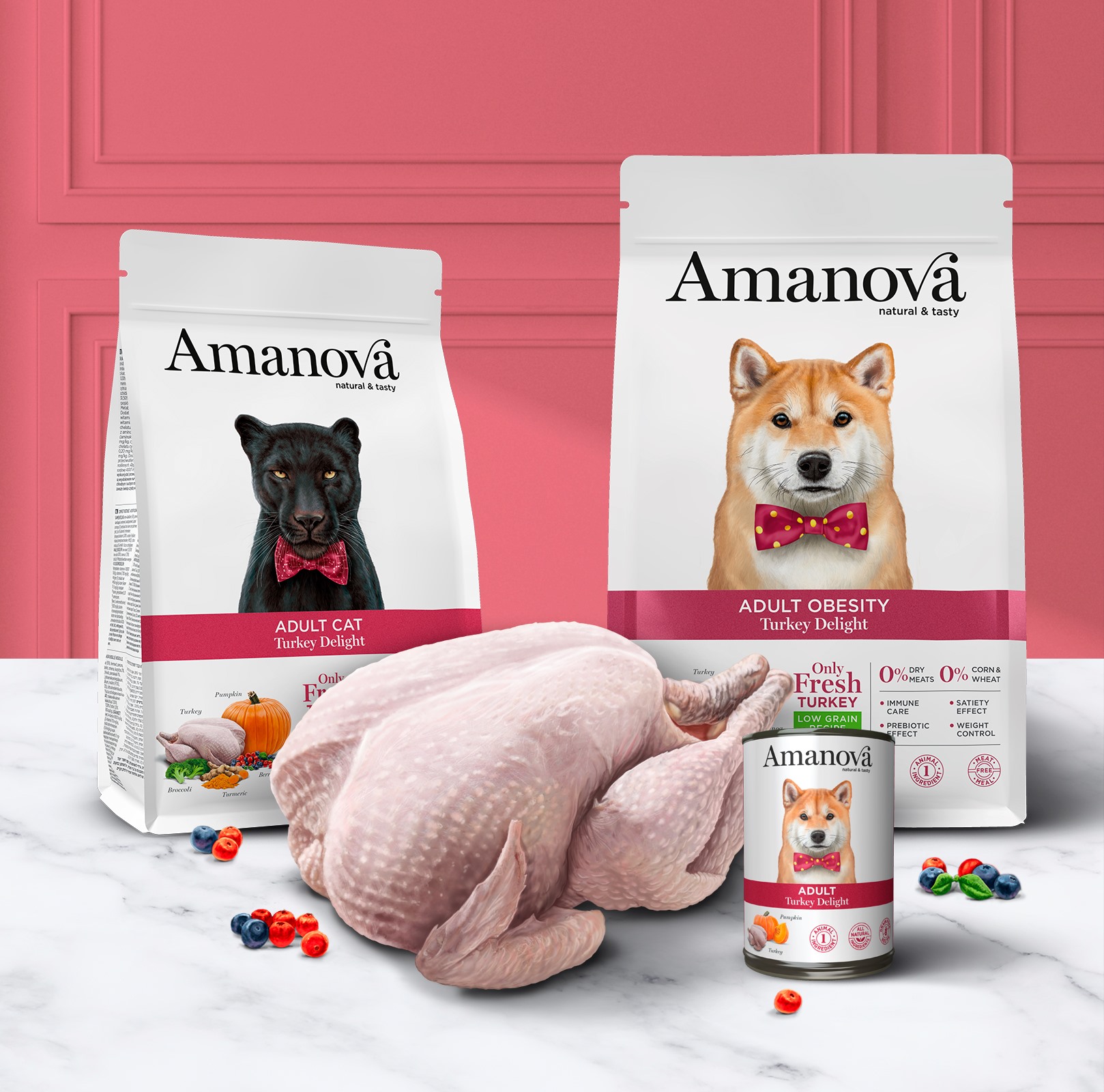 Amanova dog adult Obesity kalkkuna & kvinoa 2 kg