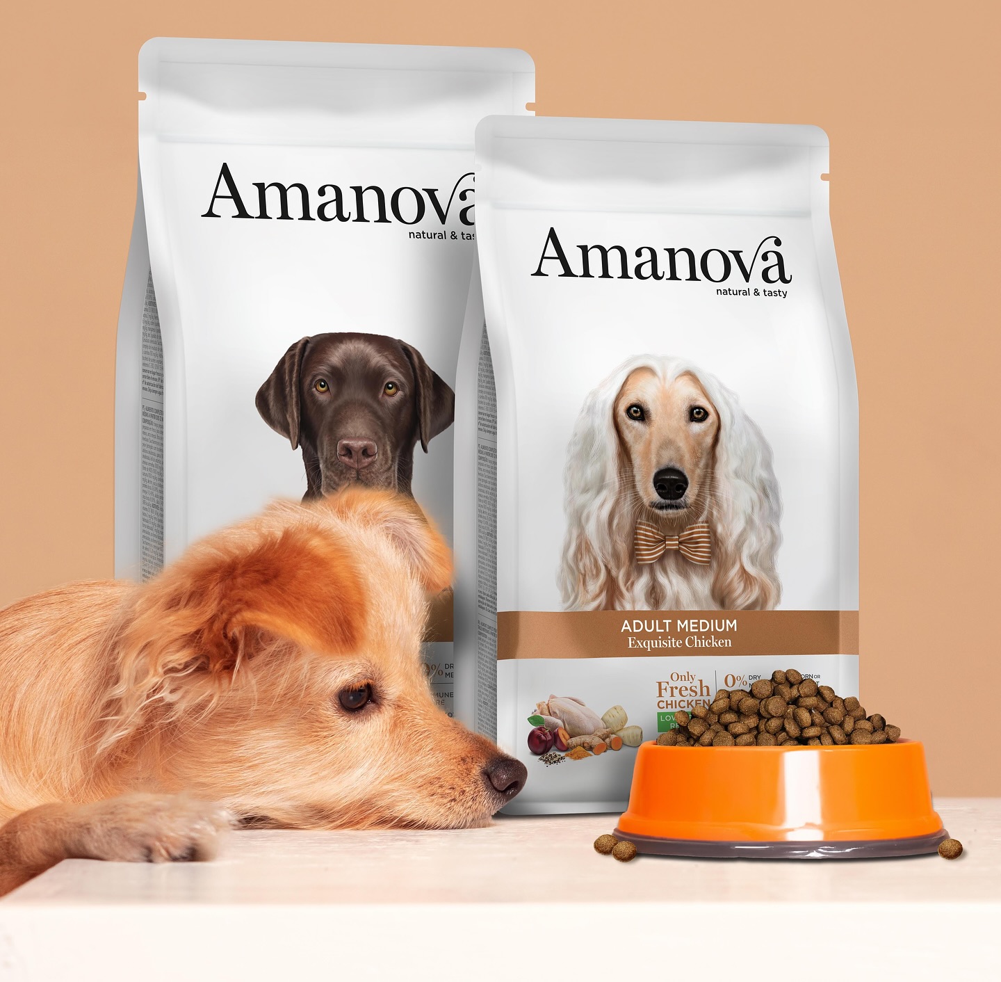 Amanova dog adult Medium Exquisite kana & kvinoa 12 kg