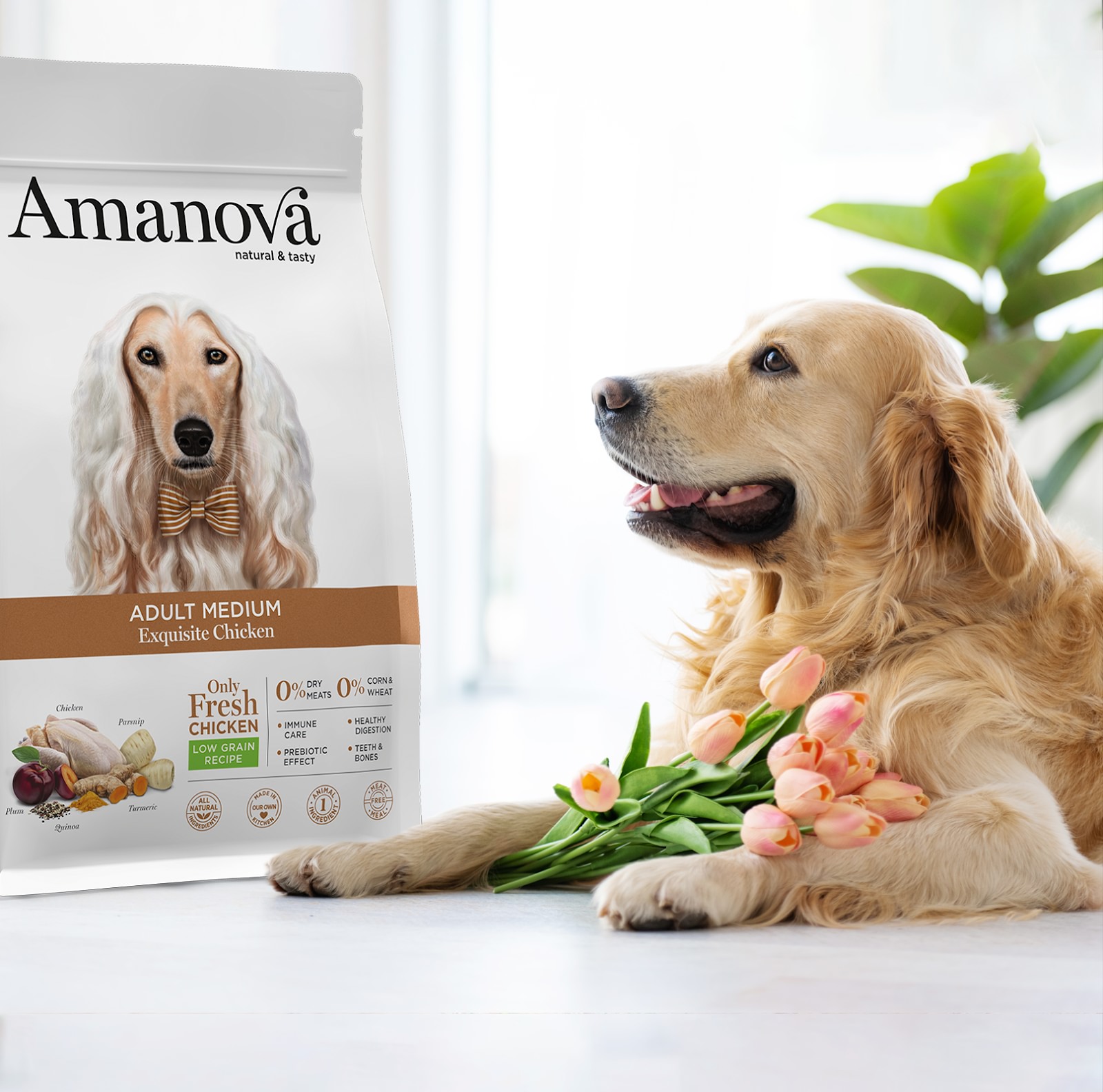 Amanova dog adult Medium Exquisite kana & kvinoa 2 kg
