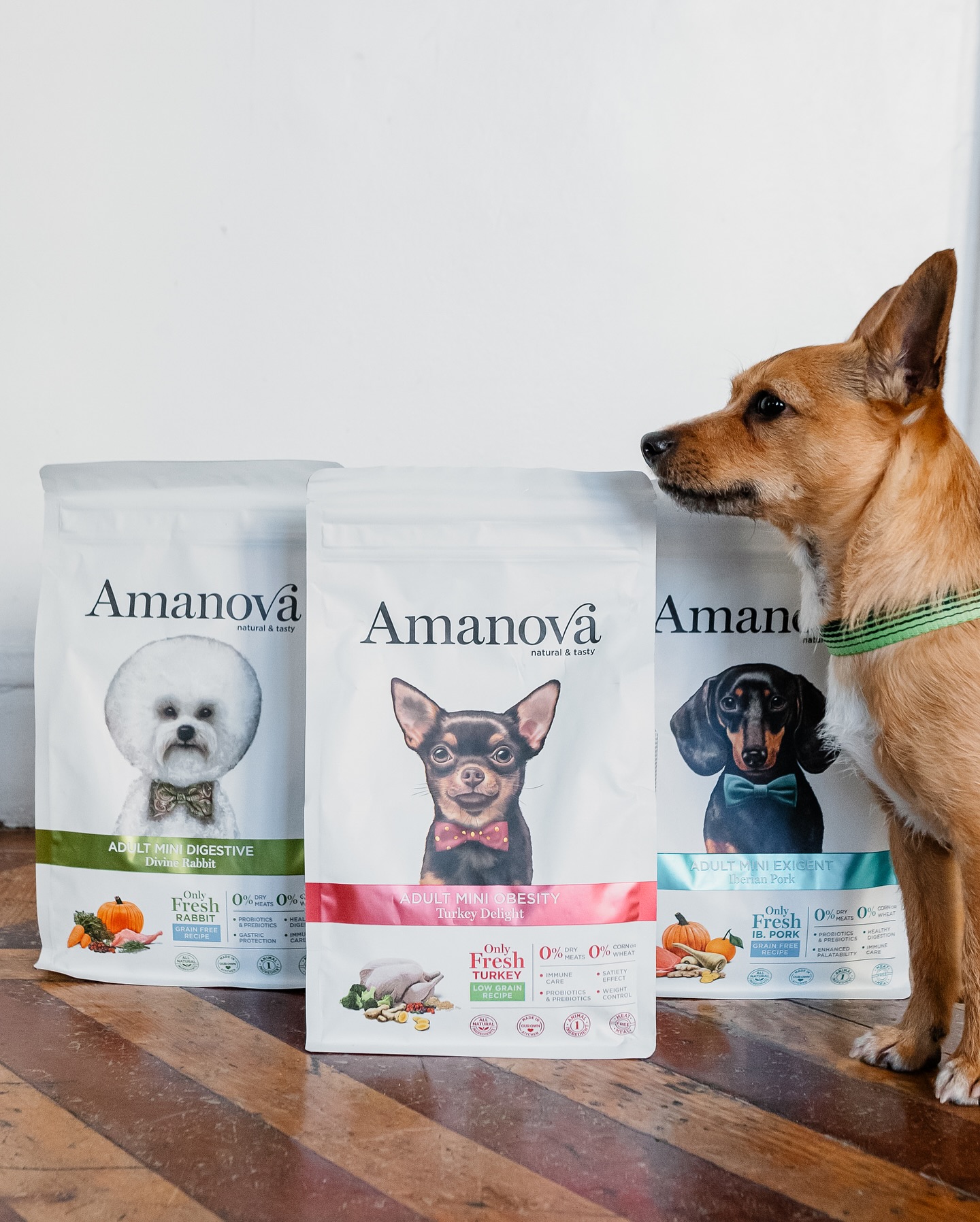 Amanova dog adult mini Obesity kalkkuna 7 kg