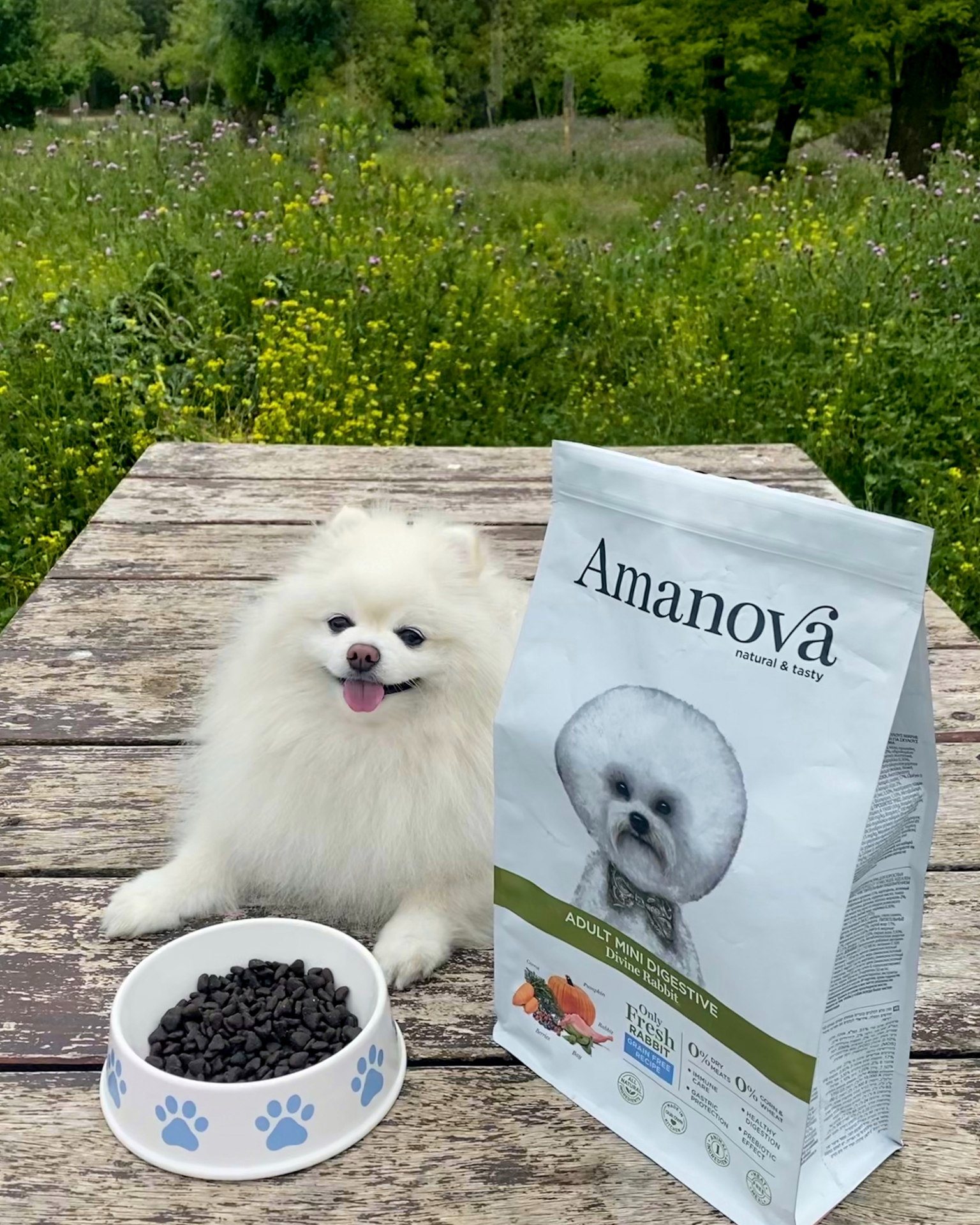 Amanova dog adult mini Digestive kani & kurpitsa 2 kg