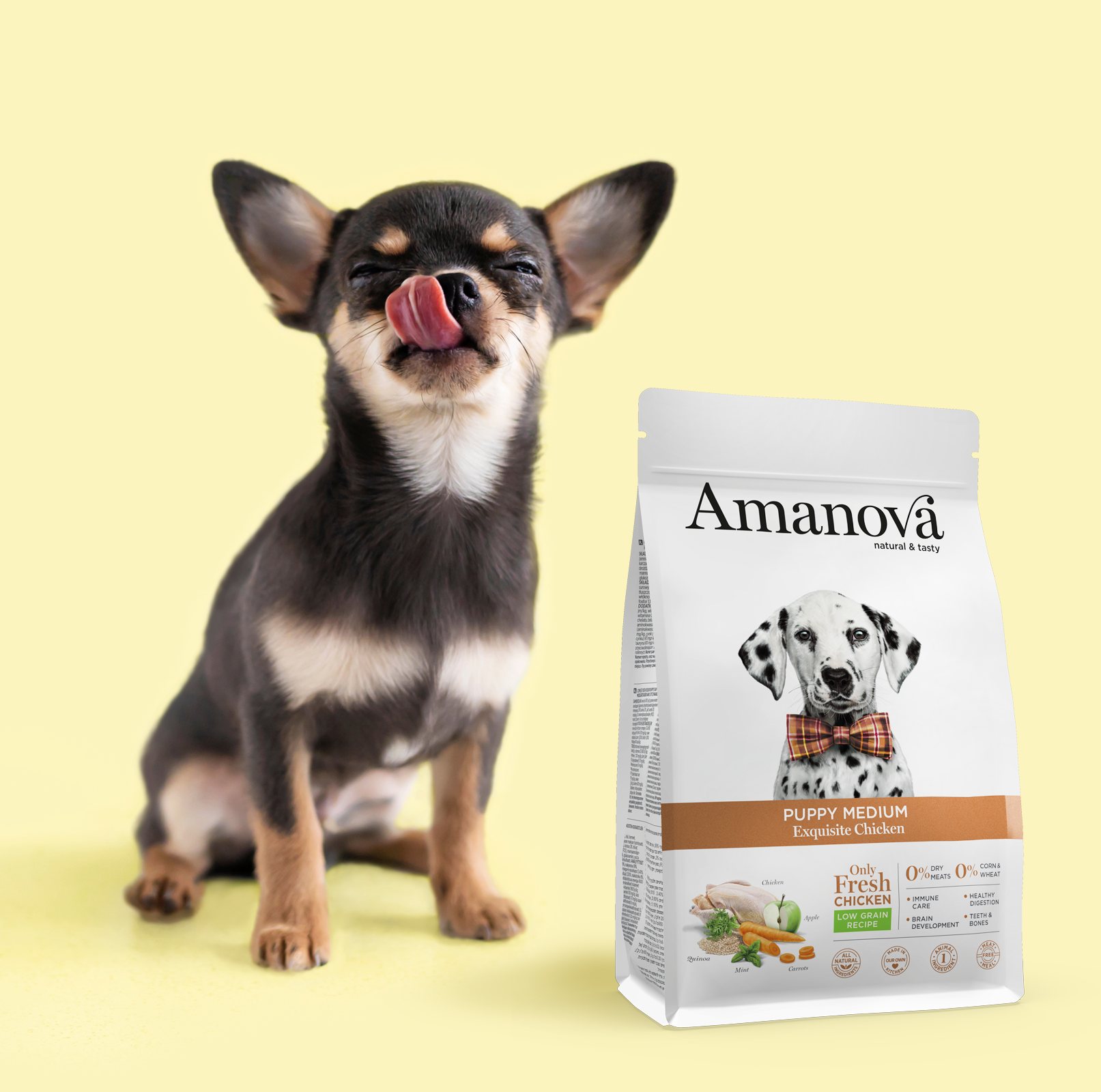 Amanova dog puppy medium Exquisite kana & kvinoa 2 kg