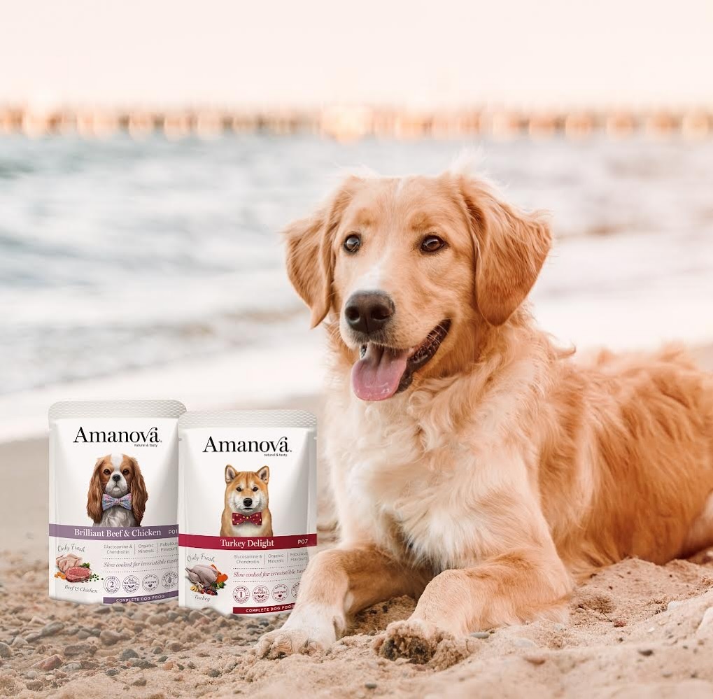 Amanova dog adult Delight kalkkuna 300 g pouch