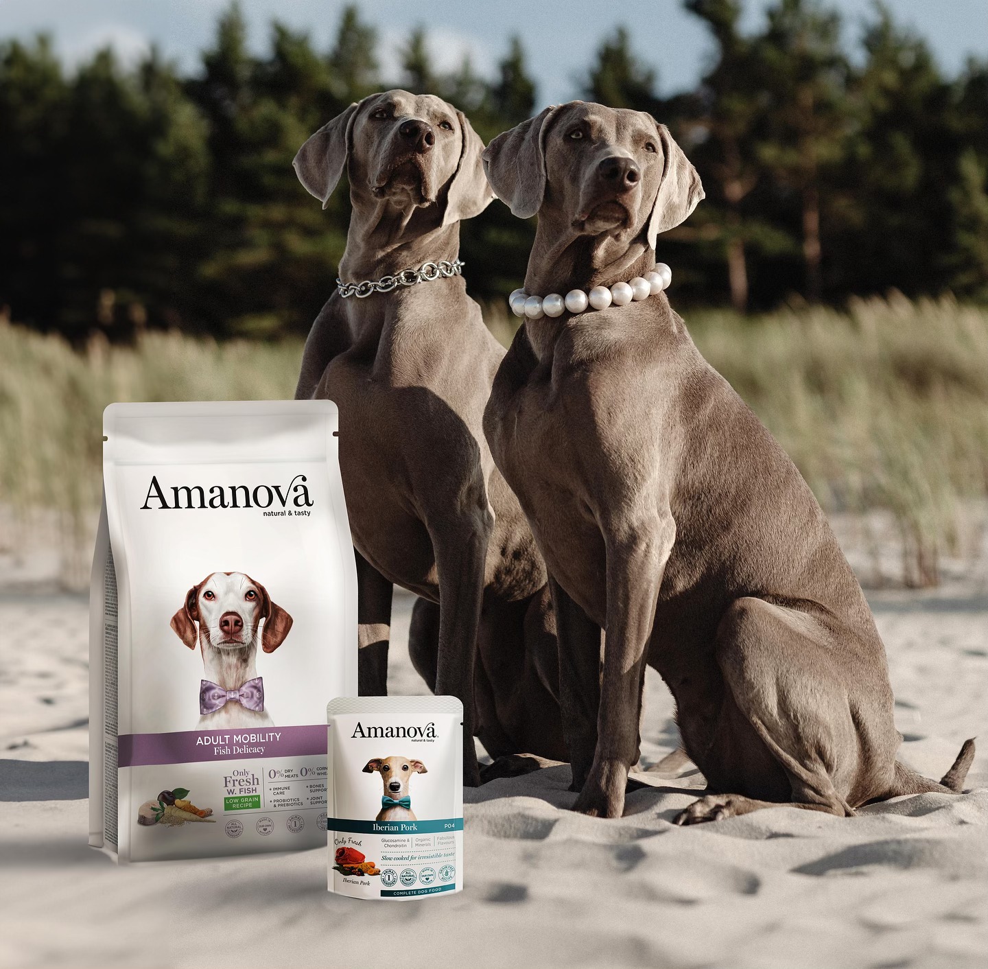 Amanova dog adult Exigent Iberian possu & kurpitsa 300 g pouch