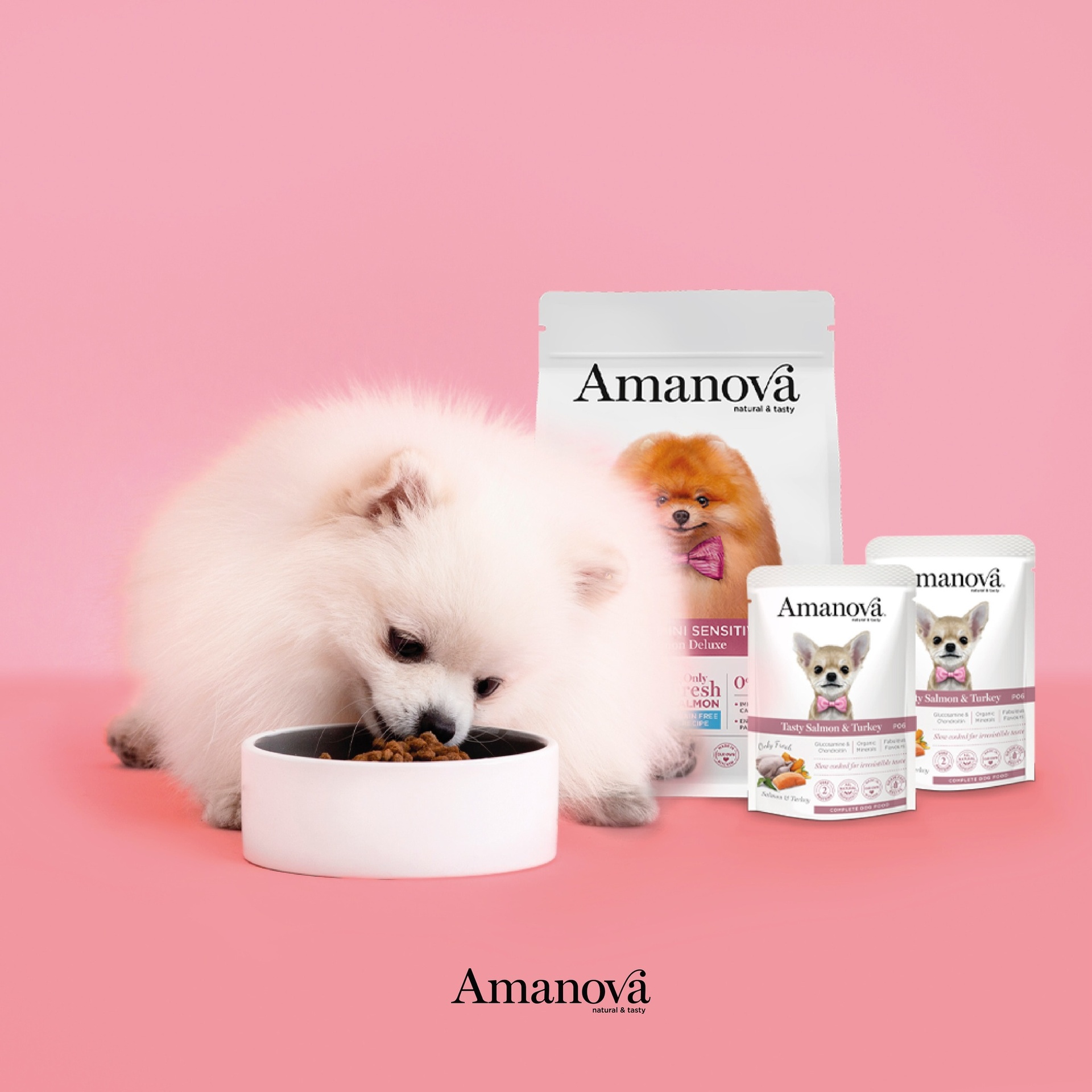 Amanova dog adult Tasty lohi & kalkkuna 100 g pouch
