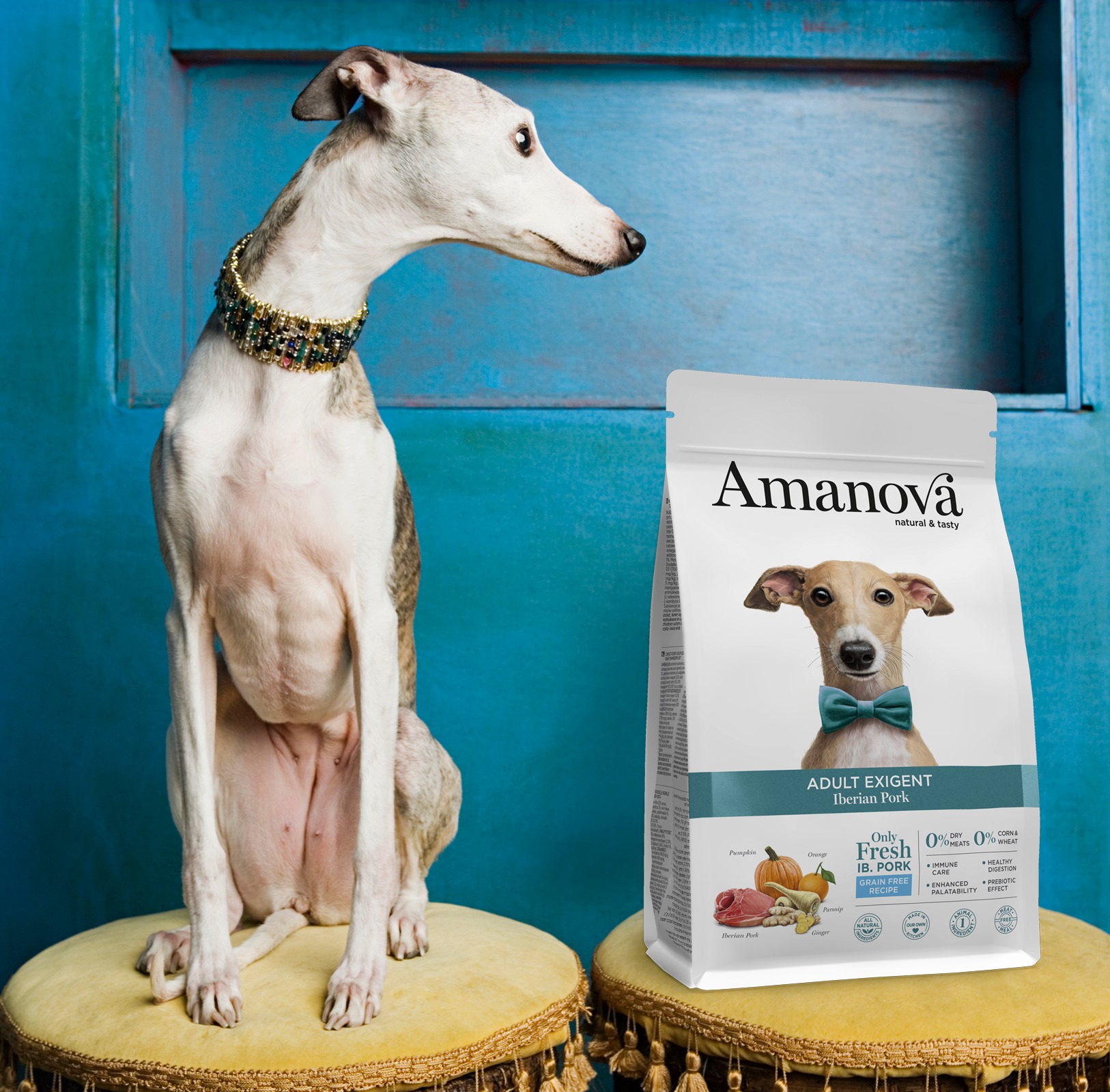 Amanova dog adult Exigent Iberian possu & kurpitsa 10 kg
