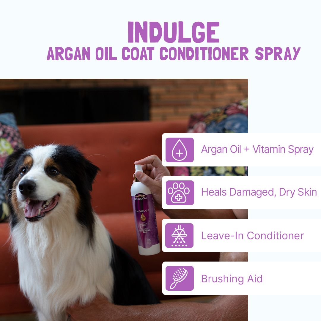 Bio-Groom Indulge™ Argan Oil hoitosuihke 8oz/236ml