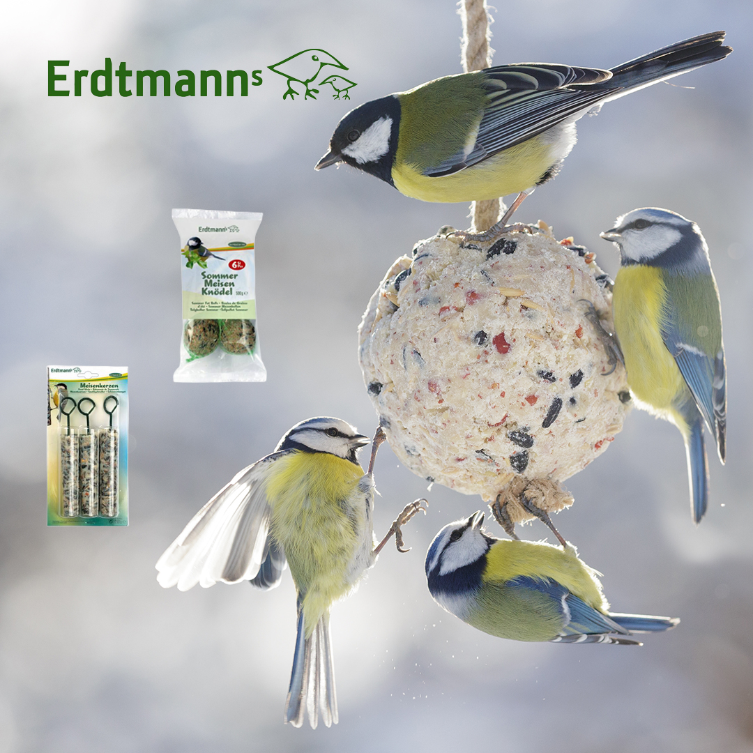 Erdtmann sommarsuetbollar med nät, 6 st.